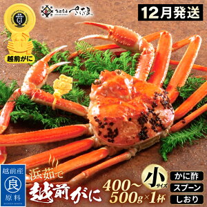 yӂ邳Ɣ[Łzl䥂 zO TCYi400`500gj× 1t ɐ| Hו Xv[ty12zy Jj I YCKj 킢 p {C 䌧 ①z]w