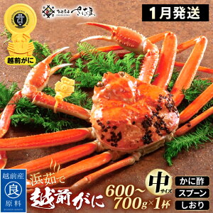 yӂ邳Ɣ[Łzl䥂 zO TCYi600`700gj × 1t ɐ| Hו Xv[ty1zy Jj I YCKj 킢 p {C 䌧 ①z]w