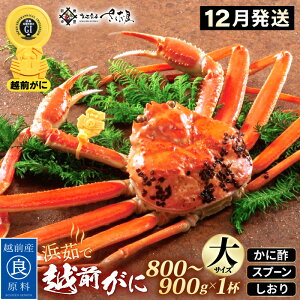yӂ邳Ɣ[Łzl䥂 zO TCYi800`900gj × 1t ɐ| Hו Xv[ty12zy Jj I YCKj 킢 p {C 䌧 ①z]w