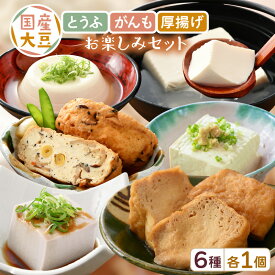 【ふるさと納税】 国産大豆とうふ がんも 厚揚げ お楽しみセット6種 各1個 【 国産 大豆 豆腐 とうふ 厚揚げ がんもどき 食べ比べ ぎんなん 青豆 黒豆 6000円以下 ウスヤ食品 】 [e08-a004]
