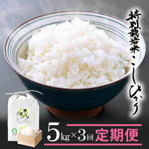 yӂ邳Ɣ[ŁzV ߘa7NY   3A͂ ʍ͔| RVqJ 5kg × 3 䌧YāiL@엿100% _7jylCi Ђ v15Lz [e10-f002]