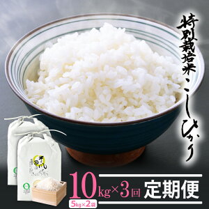 yӂ邳Ɣ[ŁzV ߘa7NY   3A͂ ʍ͔| RVqJ 10kg × 3 䌧YāiL@엿100% _7jylCi Ђ v30Lz [e10-k001]