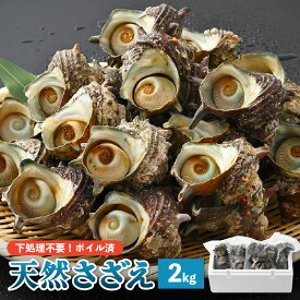 【ふるさと納税】【先行予約】天然 さざえ ボイル済 26〜30個入 2kg（500g × 4袋）【2024年6月10日以降順次発送】【栄螺 サザエ 冷凍 小分け 海鮮 BBQ バーベキュー】 [e14-a009]