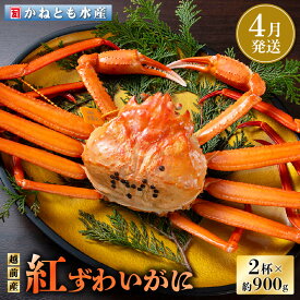 【ふるさと納税】≪浜茹で≫越前産 紅ずわいがに 約900g × 2杯 食べ方しおり付【紅ズワイガニ カニ かに 蟹 姿 ボイル 冷蔵 福井県】【4月発送分】希望日指定不可 [e14-x001_04]