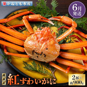 yӂ邳Ɣ[Łzl䥂ŁzOY g킢 900g × 2t HוtygYCKj Jj  I p {C ① 䌧zy6z]ws [e14-x001_06]
