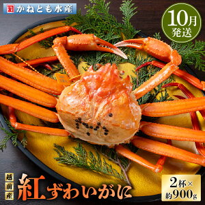 yӂ邳Ɣ[Łzl䥂ŁzOY g킢 900g × 2t HוtygYCKj Jj  I p {C ① 䌧zy10z]ws [e14-x001_10]