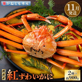 【ふるさと納税】≪浜茹で≫越前産 紅ずわいがに 約900g × 2杯 食べ方しおり付【紅ズワイガニ カニ かに 蟹 姿 ボイル 冷蔵 福井県】【11月発送分】希望日指定不可 [e14-x001_11]