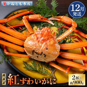 yӂ邳Ɣ[Łzl䥂ŁzOY g킢 900g × 2t HוtygYCKj Jj  I p {C ① 䌧zy12z]ws [e14-x001_12]