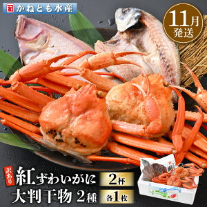 yӂ邳Ɣ[Łzy󂠂zl䥂 g킢 2t & 唻uԂꂢEvZbgyzOY gYCKj Jj  I p {C ① 䌧zy11z]ws [e14-x00