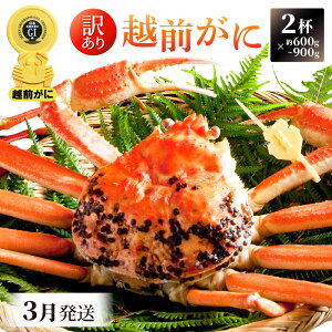 yӂ邳Ɣ[Łzy󂠂zl䥂ŁzO 600g`900gO × 2tidʁjHוtyY YCKj 킢 zOKj p {C ① 䌧zy3z]w 