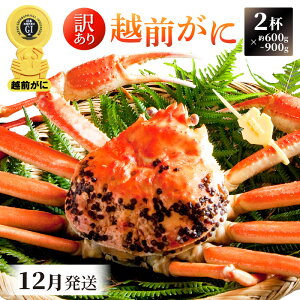 yӂ邳Ɣ[Łzy󂠂zl䥂ŁzO 600g`900gO × 2tidʁjHוtyY YCKj 킢 zOKj p {C ① 䌧zy12z]w 