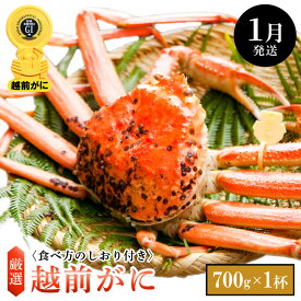 【ふるさと納税】≪浜茹で≫越前がに 小サイズ × 1杯（生で700g以上）食べ方しおり付【雄 ズワイガニ ずわいがに 越前ガニ 姿 ボイル 冷蔵 福井県】【1月発送分】希望日指定可 備考欄に希望日をご記入ください [e14-x005_01]