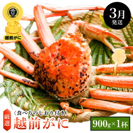 【ふるさと納税】≪浜茹で≫越前がに 中サイズ × 1杯（生で900g以上）食べ方しおり付【雄 ズワイガニ ずわいがに 越前ガニ 姿 ボイル 冷蔵 福井県】【3月発送分】希望日指定可 備考欄に希望日をご記入ください [e14-x006_03]