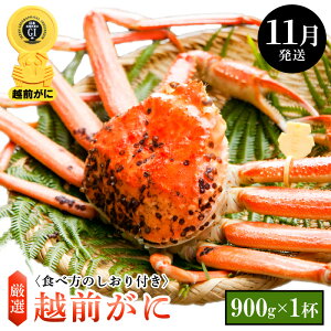 yӂ邳Ɣ[Łzl䥂ŁzO TCY × 1ti900gȏjHוtyY YCKj 킢 zOKj p {C ① 䌧zy11z]w lɊ