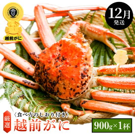 【ふるさと納税】≪浜茹で≫越前がに 中サイズ × 1杯（生で900g以上）食べ方しおり付【雄 ズワイガニ ずわいがに 越前ガニ 姿 ボイル 冷蔵 福井県】【12月発送分】希望日指定可 備考欄に希望日をご記入ください [e14-x006_12]