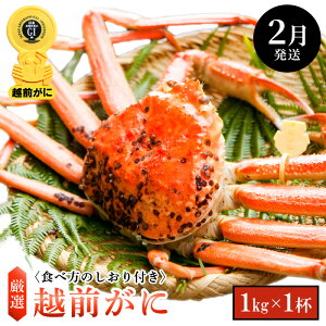yӂ邳Ɣ[Łzl䥂ŁzO TCY × 1ti1kgȏjHוtyY YCKj 킢 zOKj p {C ① 䌧zy2z]w lɊ]