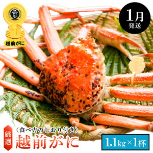 yӂ邳Ɣ[Łzl䥂ŁzO TCY × 1ti1.1kgȏjHוtyY YCKj 킢 zOKj p {C ① 䌧zy1z]w l