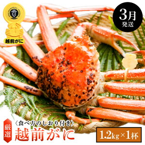 yӂ邳Ɣ[Łzl䥂ŁzO TCY × 1ti1.2kgȏjHוtyY YCKj 킢 zOKj p {C ① 䌧zy3z]w l