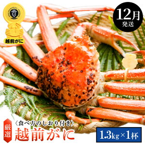 yӂ邳Ɣ[Łzl䥂ŁzO TCY × 1ti1.3kgȏjHוtyY YCKj 킢 zOKj p {C ① 䌧zy12z]w l
