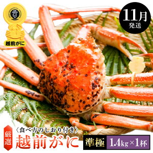 yӂ邳Ɣ[Łzl䥂ŁzO  × 1ti1.4kgȏjHוtyY YCKj 킢 zOKj p {C ① 䌧zy11z]w lɊ]