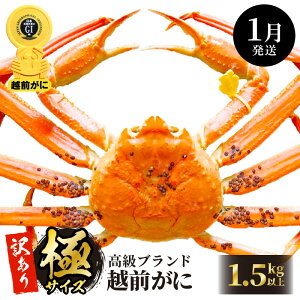 yӂ邳Ɣ[Łzy󂠂zl䥂ŁzO ɃTCY × 1ti1.5kgȏj Hוt ́uɁvlIyY YCKj  Jj I zOKj p {C ① 䌧zy1