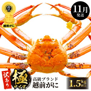 yӂ邳Ɣ[Łzy󂠂zl䥂ŁzO ɃTCY × 1ti1.5kgȏj Hוt ́uɁvlIyY YCKj  Jj I zOKj p {C ① 䌧zy11