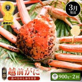 【ふるさと納税】≪浜茹で≫越前がに 中サイズ × 1杯（生で900g以上）× 2杯 合計1.8kg以上 食べ方しおり付【雄 ズワイガニ ずわいがに 越前ガニ 姿 ボイル 冷蔵 福井県】【3月発送分】希望日指定可 備考欄に希望日をご記入ください [e14-x016_03]