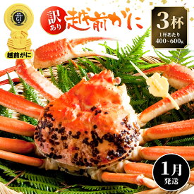 【ふるさと納税】【訳あり】≪浜茹で≫越前がに 3杯（生で1杯400〜600g）食べ方しおり付【規格外 雄 ズワイガニ かに カニ 蟹 越前ガニ 姿 ボイル 冷蔵 福井県】【1月発送分】希望日指定可 備考欄に希望日をご記入ください [e14-x021_01]