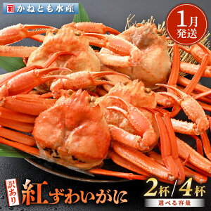 yӂ邳Ɣ[Łzy󂠂zl䥂ŁzOY g킢 700g × 2t ` 4t HוtygYCKj Jj  I p {C ① 䌧zy1z]ws