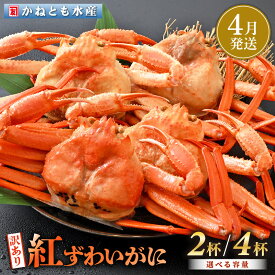 【ふるさと納税】【訳あり】≪浜茹で≫越前産 紅ずわいがに 約700g × 2杯 〜 4杯 食べ方しおり付【紅ズワイガニ カニ かに 蟹 姿 ボイル 冷蔵 福井県】【4月発送分】希望日指定不可