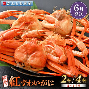 yӂ邳Ɣ[Łzy󂠂zl䥂ŁzOY g킢 700g × 2t ` 4t HוtygYCKj Jj  I p {C ① 䌧zy6z]ws