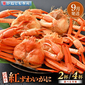 yӂ邳Ɣ[Łzy󂠂zl䥂ŁzOY g킢 700g × 2t ` 4t HוtygYCKj Jj  I p {C ① 䌧zy9z]ws