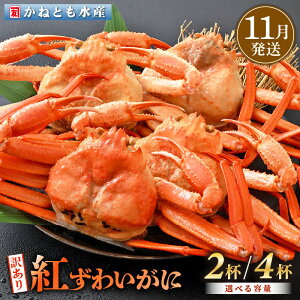 yӂ邳Ɣ[Łzy󂠂zl䥂ŁzOY g킢 700g × 2t ` 4t HוtygYCKj Jj  I p {C ① 䌧zy11z]ws