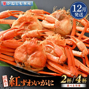 yӂ邳Ɣ[Łzy󂠂zl䥂ŁzOY g킢 700g × 2t ` 4t HוtygYCKj Jj  I p {C ① 䌧zy12z]ws