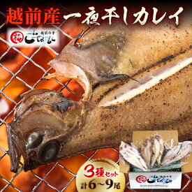 【ふるさと納税】一夜干し カレイ3種セット(2〜3尾入り3パック)【冷凍 魚介 魚 干物 加工品 食べ比べ 国産 日本海 かれい 5000円】【越前海岸・美味直送シリーズ 買い回り お買い物マラソン 5000円以下】