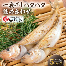 【ふるさと納税】越前産 はたはた 「一夜干しハタハタ詰合わせ（7〜9尾入り×5パック）」【越前海岸・美味直送シリーズ】 [e15-a056]