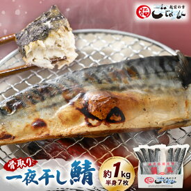 【ふるさと納税】食べやすい魚！骨取り 鯖の一夜干し 約1kg（半身7切）網元漁師「福丸」厳選！ 【さかな サバ さば おかず グルメ 小分け 冷凍 個包装 グルメ 惣菜 魚介類 海鮮 焼魚 バーベキュー】