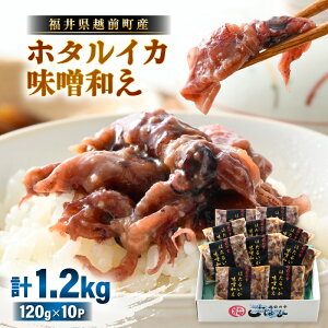 yӂ邳Ɣ[Łz 𓀂邾 ! zOY X z^CJ v240g(120g × 2P)`  Ⓚ ق邢 SgbvNXy{C 䥂 t ݂ ~\ {C  CJ G 
