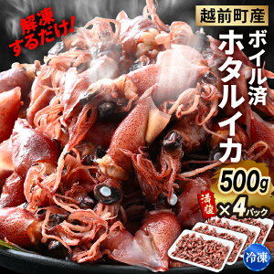 yӂ邳Ɣ[Łz𓀂邾 ! zOY {C z^CJ 500g`v2.0kgi500g×4Pj} Ⓚ ق邢 SgbvNX̋lʁy{C {C  CJ G 䌧  CN 