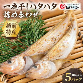 【ふるさと納税】越前産 魚 はたはた 一夜干しハタハタ詰合わせ 約 200g入り (10尾前後) ×5パック [e15-a070]