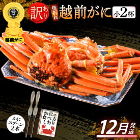 【ふるさと納税】【訳あり】≪浜茹で≫指折れ 越前がに（小） × 2杯 食べ方しおり かにスプーン付き【雄 ズワイガニ ずわいがに 越前ガニ 姿 ボイル 冷蔵 福井県】【12月発送分】希望日指定可 備考欄に希望日をご記入ください [e15-x001_12]