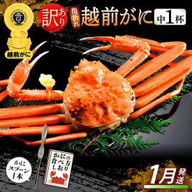 【ふるさと納税】【訳あり】≪浜茹で≫指折れ 越前がに（中） × 1杯 食べ方しおり かにスプーン付き【雄 ズワイガニ ずわいがに 越前ガニ 姿 ボイル 冷蔵 福井県】【1月発送分】希望日指定可 備考欄に希望日をご記入ください [e15-x003_01]