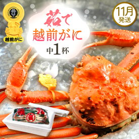 【ふるさと納税】≪浜茹で≫越前がに 中サイズ（生で600g前後） × 1杯 食べ方しおり かにスプーン付き【雄 ズワイガニ 越前ガニ かに カニ 蟹 姿 ボイル 冷蔵 福井県】【11月発送分】希望日指定可 備考欄に希望日をご記入ください [e15-x008_11]