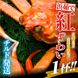 【ふるさと納税】【冷蔵便】≪浜茹で≫ 越前産 紅ずわいがに × 1杯 産直！驚き1杯5000円！その場で「湯がいて」その場で「送る！」産地直送品！楽天限定！蟹 【発送月をお選びいただけます！】【紅ズワイガニ 姿 ボイル 冷蔵 福井県】 [e22-x001]