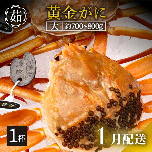 yӂ邳Ɣ[Łz [①] KjiTCYj × 1t uYCKjƍgYCKĵ̂ṽJjl䥂łł͂Iy Jj p {C ① 䌧zy1z]