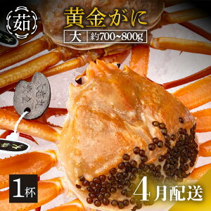 yӂ邳Ɣ[Łz [①] KjiTCYj × 1t uYCKjƍgYCKĵ̂ṽJjl䥂łł͂Iy Jj p {C ① 䌧zy4z]