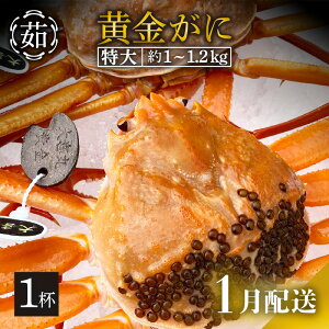 yӂ邳Ɣ[Łz [①] KjiTCYj × 1t uYCKjƍgYCKĵ̂ṽJjl䥂łł͂Iy Jj p {C ① 䌧zy1z]