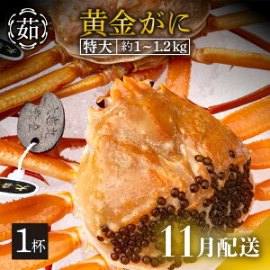 yӂ邳Ɣ[Łz [①] KjiTCYj × 1t uYCKjƍgYCKĵ̂ṽJjl䥂łł͂Iy Jj p {C ① 䌧zy11z