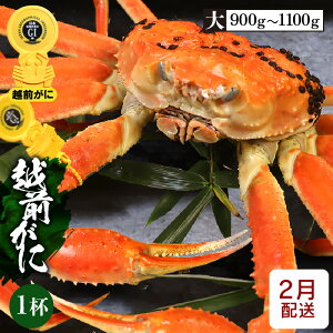 yӂ邳Ɣ[Łz [①] l䥂ŁzO TCY × 1ti0.9`1.1kgjGI^Ot ^̉zOɁIyY YCKj 킢 p {C ① 䌧zy2z]w