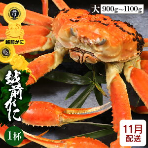 yӂ邳Ɣ[Łz [①] l䥂ŁzO TCY × 1ti0.9`1.1kgjGI^Ot ^̉zOɁIyY YCKj 킢 p {C ① 䌧zy11z]